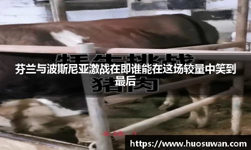 芬兰与波斯尼亚激战在即谁能在这场较量中笑到最后